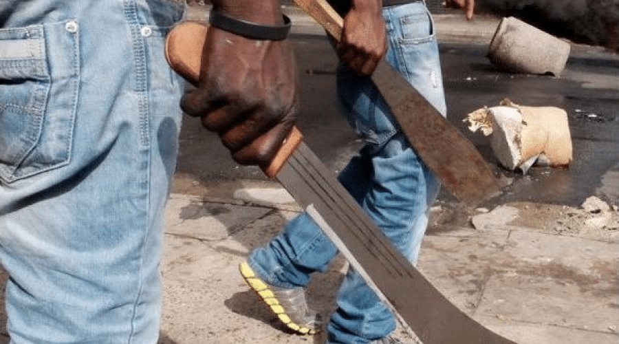 Le « SIMOL » ou technique d'agression en meutes fait rage en banlieue