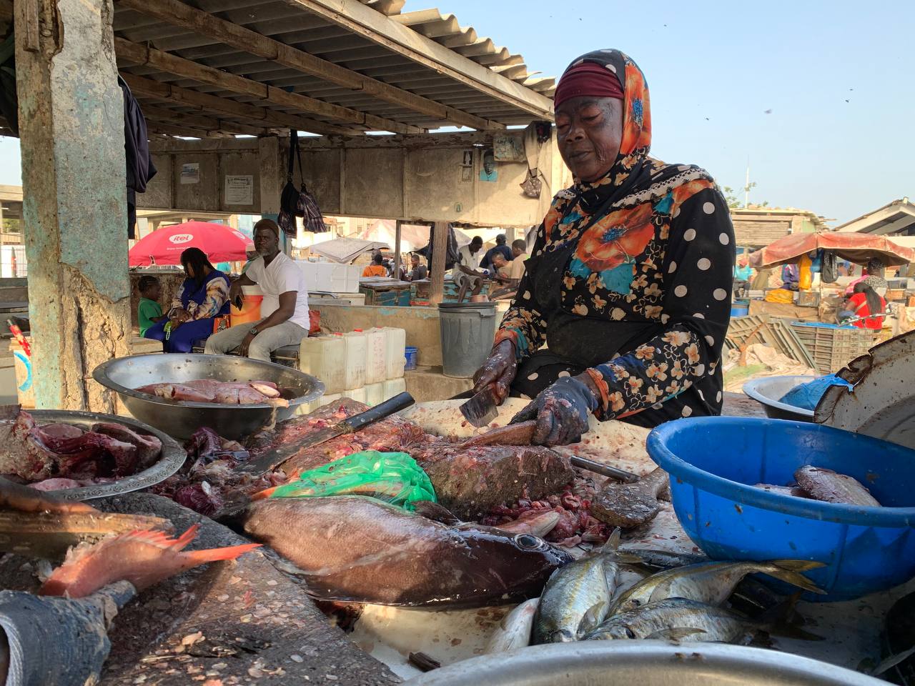 Ecailler pour vivre, ces femmes qui vivent du poisson 