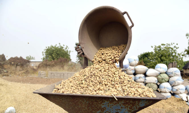 Diourbel dans l’attente d’un programme agricole     