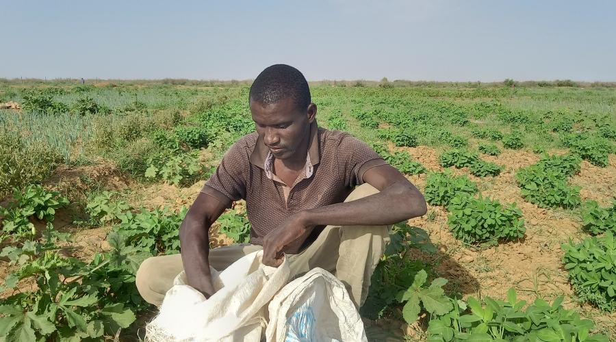 Moussa Diallo, retour à la terre d’un passionné des lettres 